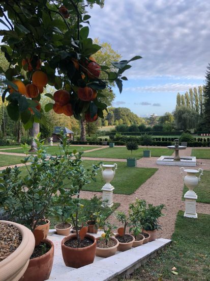 les orangers de Dom Pacello