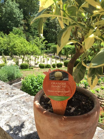 les orangers historique de chateau gaillard