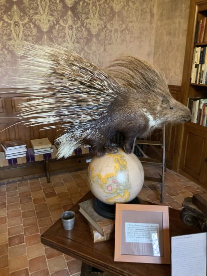 porc-epic symbole de Louis XII